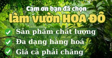 cam on lam vuon hoa do