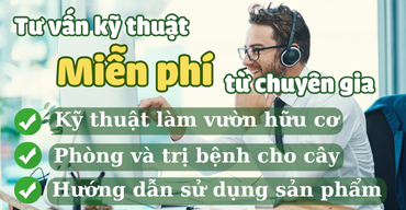 tu van mien phi