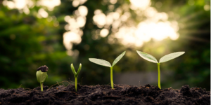 GIỚI THIỆU 2 Phat trien